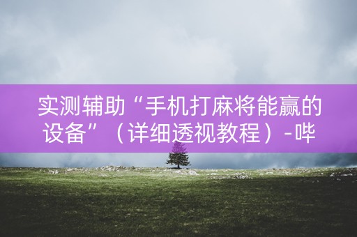 实测辅助“手机打麻将能赢的设备”（详细透视教程）-哔哩哔哩