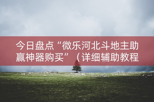 今日盘点“微乐河北斗地主助赢神器购买”（详细辅助教程）-哔哩哔哩