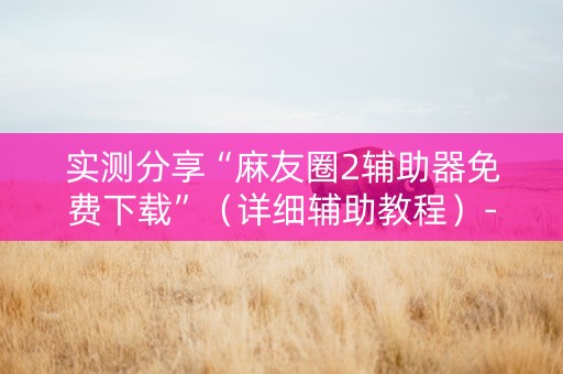 实测分享“麻友圈2辅助器免费下载”（详细辅助教程）-哔哩哔哩