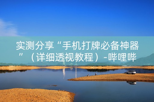 实测分享“手机打牌必备神器”（详细透视教程）-哔哩哔哩