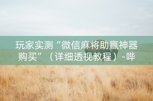 玩家实测“微信麻将助赢神器购买”（详细透视教程）-哔哩哔哩