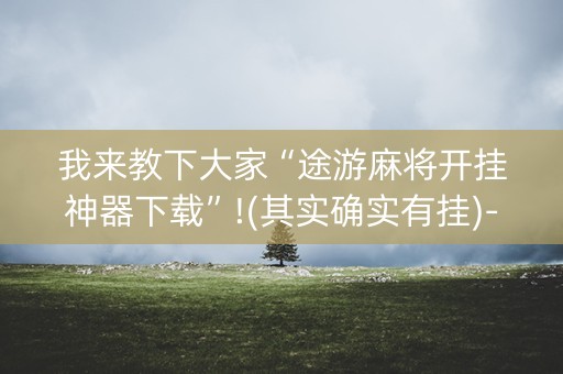 我来教下大家“途游麻将开挂神器下载”!(其实确实有挂)-知乎