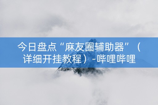 今日盘点“麻友圈辅助器”（详细开挂教程）-哔哩哔哩