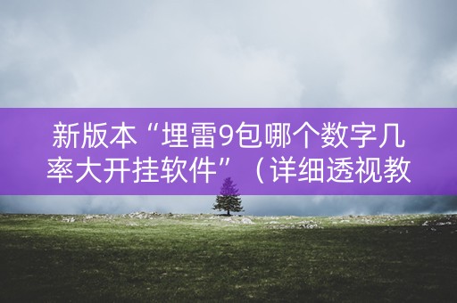 新版本“埋雷9包哪个数字几率大开挂软件”（详细透视教程）-哔哩哔哩