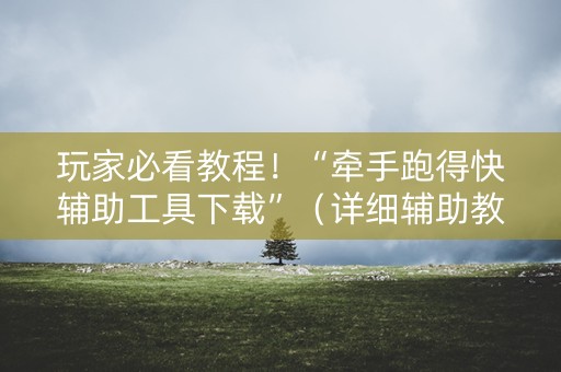 玩家必看教程！“牵手跑得快辅助工具下载”（详细辅助教程）-哔哩哔哩