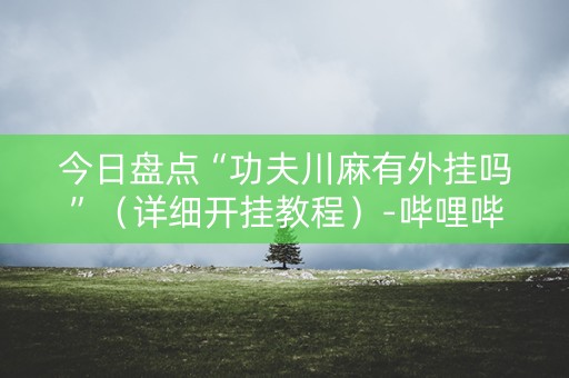 今日盘点“功夫川麻有外挂吗”（详细开挂教程）-哔哩哔哩