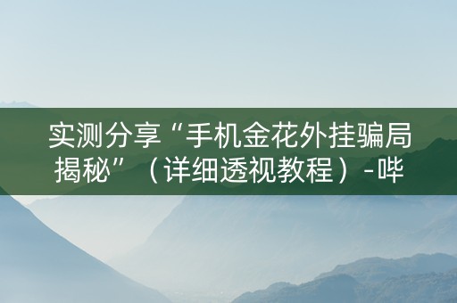 实测分享“手机金花外挂骗局揭秘”（详细透视教程）-哔哩哔哩
