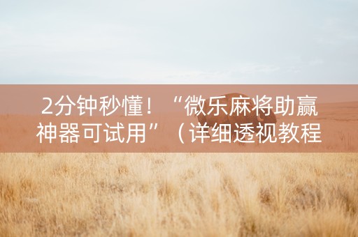 2分钟秒懂！“微乐麻将助赢神器可试用”（详细透视教程）-哔哩哔哩