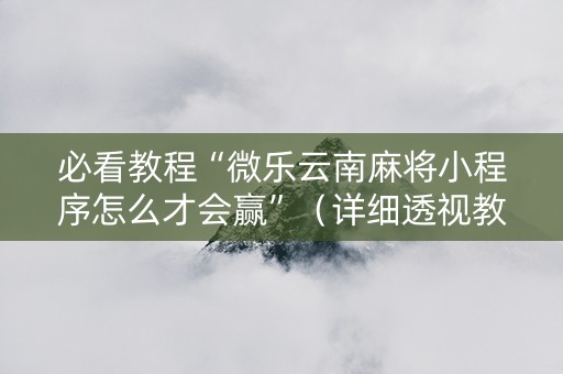 必看教程“微乐云南麻将小程序怎么才会赢”（详细透视教程）-哔哩哔哩