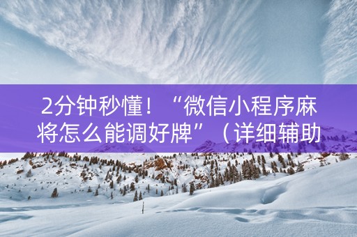 2分钟秒懂！“微信小程序麻将怎么能调好牌”（详细辅助教程）-哔哩哔哩