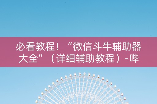 必看教程！“微信斗牛辅助器大全”（详细辅助教程）-哔哩哔哩
