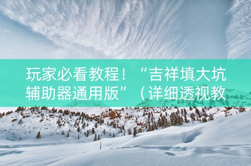 玩家必看教程！“吉祥填大坑辅助器通用版”（详细透视教程）-哔哩哔哩