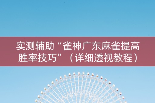 实测辅助“雀神广东麻雀提高胜率技巧”（详细透视教程）-哔哩哔哩