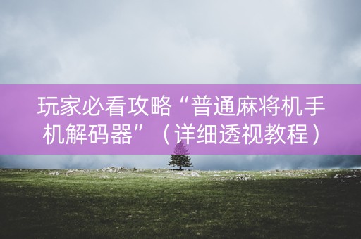 玩家必看攻略“普通麻将机手机解码器”（详细透视教程）-哔哩哔哩