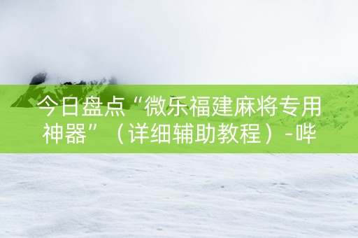 今日盘点“微乐福建麻将专用神器”（详细辅助教程）-哔哩哔哩