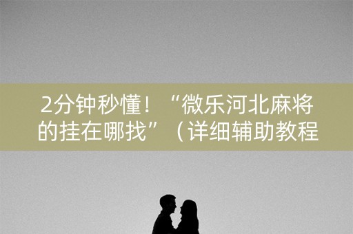 2分钟秒懂！“微乐河北麻将的挂在哪找”（详细辅助教程）-哔哩哔哩