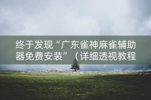终于发现“广东雀神麻雀辅助器免费安装”（详细透视教程）-哔哩哔哩