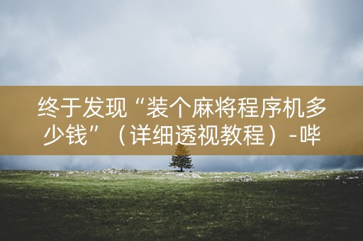 终于发现“装个麻将程序机多少钱”（详细透视教程）-哔哩哔哩