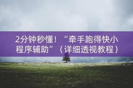 2分钟秒懂！“牵手跑得快小程序辅助”（详细透视教程）-哔哩哔哩