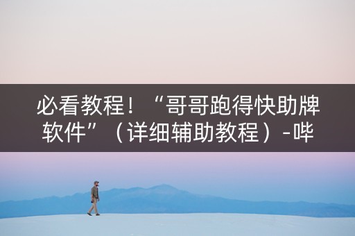 必看教程！“哥哥跑得快助牌软件”（详细辅助教程）-哔哩哔哩