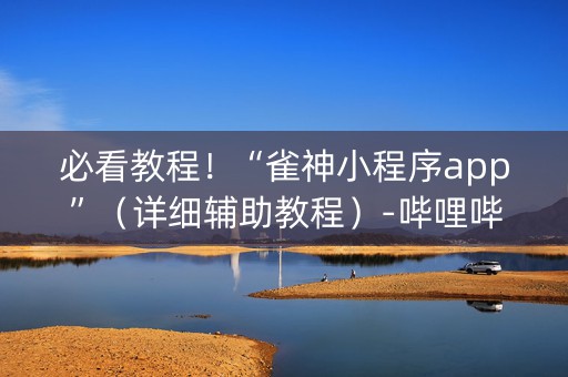 必看教程！“雀神小程序app”（详细辅助教程）-哔哩哔哩