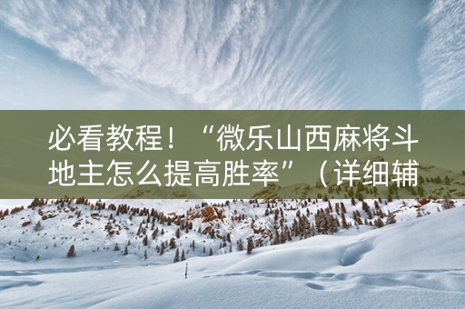 必看教程！“微乐山西麻将斗地主怎么提高胜率”（详细辅助教程）-哔哩哔哩