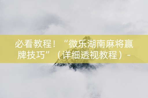 必看教程！“微乐湖南麻将赢牌技巧”（详细透视教程）-哔哩哔哩