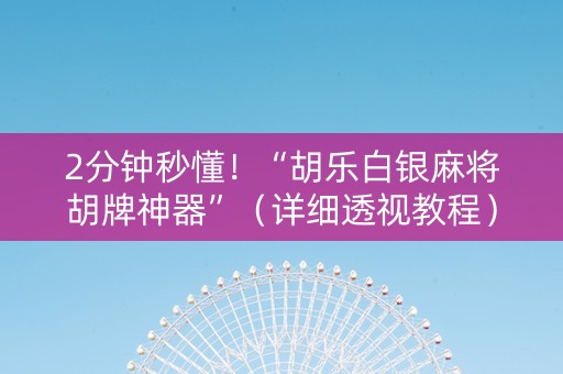 2分钟秒懂！“胡乐白银麻将胡牌神器”（详细透视教程）-哔哩哔哩