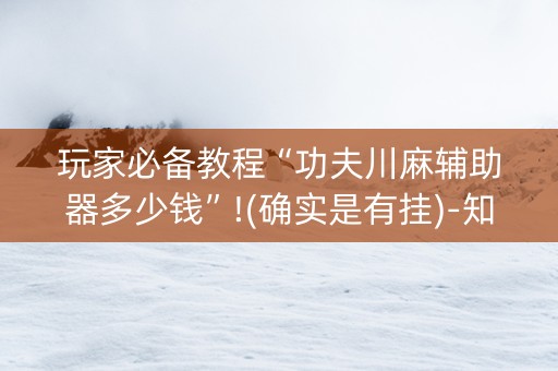 玩家必备教程“功夫川麻辅助器多少钱”!(确实是有挂)-知乎