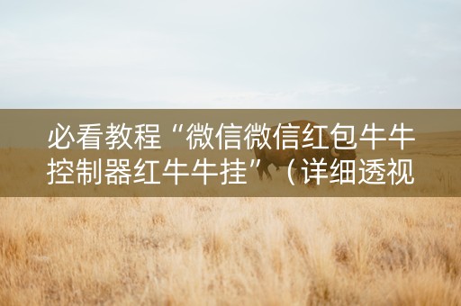 必看教程“微信微信红包牛牛控制器红牛牛挂”（详细透视教程）-哔哩哔哩