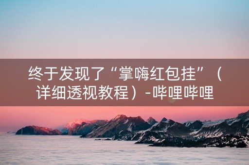 终于发现了“掌嗨红包挂”（详细透视教程）-哔哩哔哩