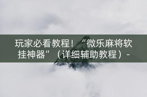 玩家必看教程！“微乐麻将软挂神器”（详细辅助教程）-哔哩哔哩