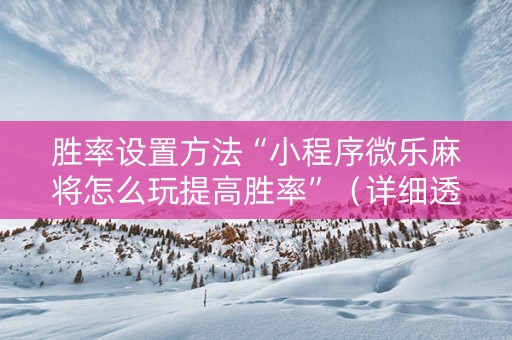胜率设置方法“小程序微乐麻将怎么玩提高胜率”（详细透视教程）-哔哩哔哩