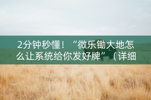 2分钟秒懂！“微乐锄大地怎么让系统给你发好牌”（详细辅助教程）-哔哩哔哩