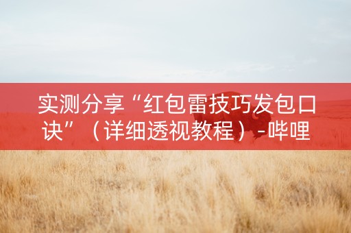 实测分享“红包雷技巧发包口诀”（详细透视教程）-哔哩哔哩