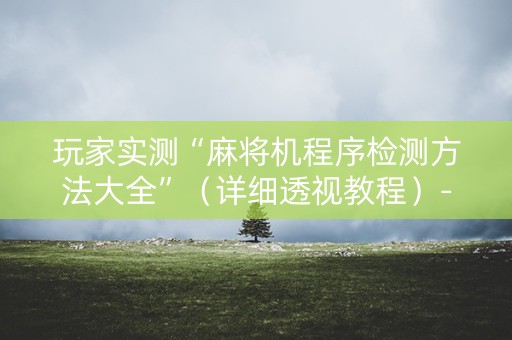 玩家实测“麻将机程序检测方法大全”（详细透视教程）-哔哩哔哩