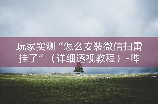 玩家实测“怎么安装微信扫雷挂了”（详细透视教程）-哔哩哔哩