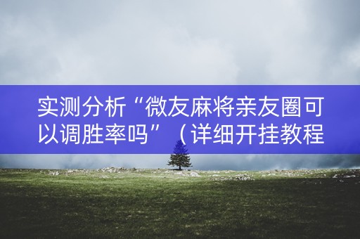 实测分析“微友麻将亲友圈可以调胜率吗”（详细开挂教程）-哔哩哔哩