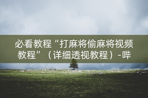 必看教程“打麻将偷麻将视频教程”（详细透视教程）-哔哩哔哩