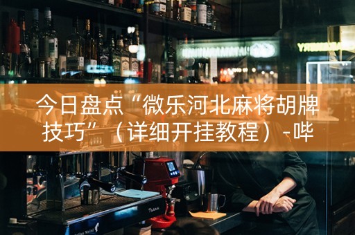 今日盘点“微乐河北麻将胡牌技巧”（详细开挂教程）-哔哩哔哩