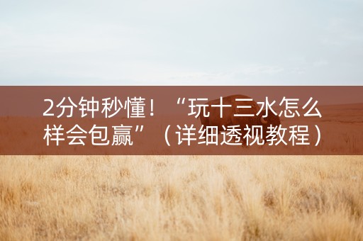 2分钟秒懂！“玩十三水怎么样会包赢”（详细透视教程）-哔哩哔哩