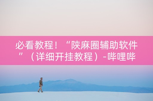必看教程！“陕麻圈辅助软件”（详细开挂教程）-哔哩哔哩