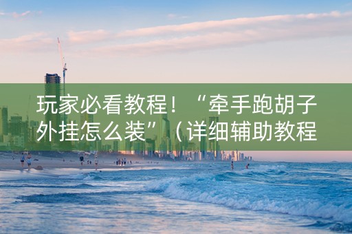 玩家必看教程！“牵手跑胡子外挂怎么装”（详细辅助教程）-哔哩哔哩