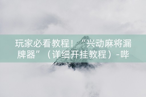 玩家必看教程！“兴动麻将漏牌器”（详细开挂教程）-哔哩哔哩
