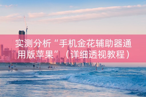 实测分析“手机金花辅助器通用版苹果”（详细透视教程）-哔哩哔哩