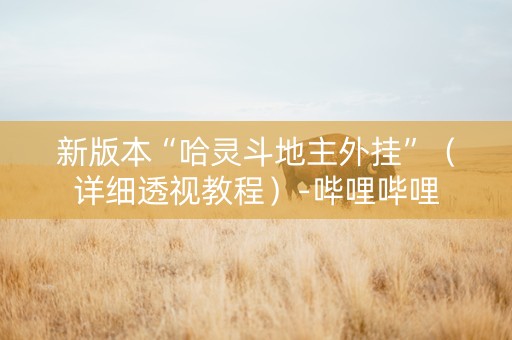 新版本“哈灵斗地主外挂”（详细透视教程）-哔哩哔哩