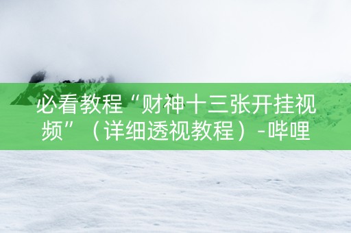必看教程“财神十三张开挂视频”（详细透视教程）-哔哩哔哩