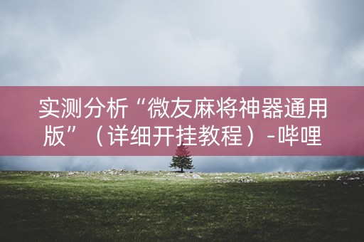 实测分析“微友麻将神器通用版”（详细开挂教程）-哔哩哔哩