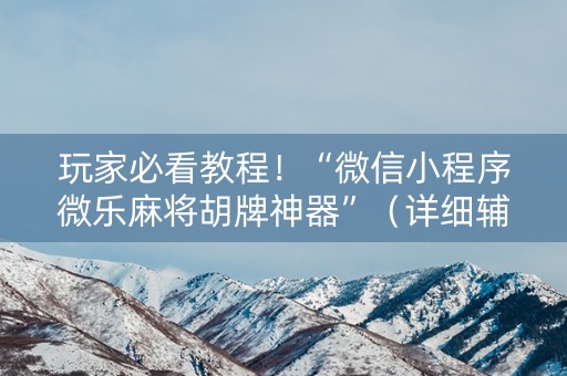 玩家必看教程！“微信小程序微乐麻将胡牌神器”（详细辅助教程）-哔哩哔哩
