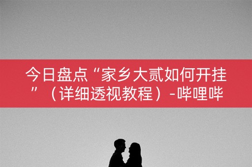 今日盘点“家乡大贰如何开挂”（详细透视教程）-哔哩哔哩